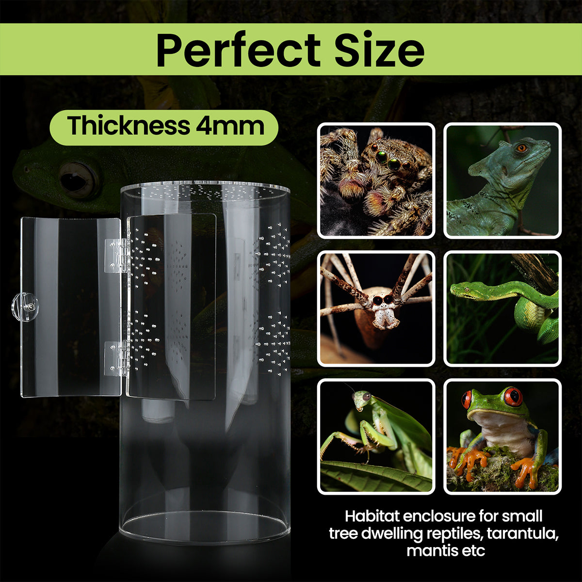 Front Opening Terrarium Jumping Spider Enclosure,12"*6"*6"Tall Arboreal Tarantula Enclosure Terrarium with Cross Ventilation,Waterproof Acrylic Reptile Enclosure