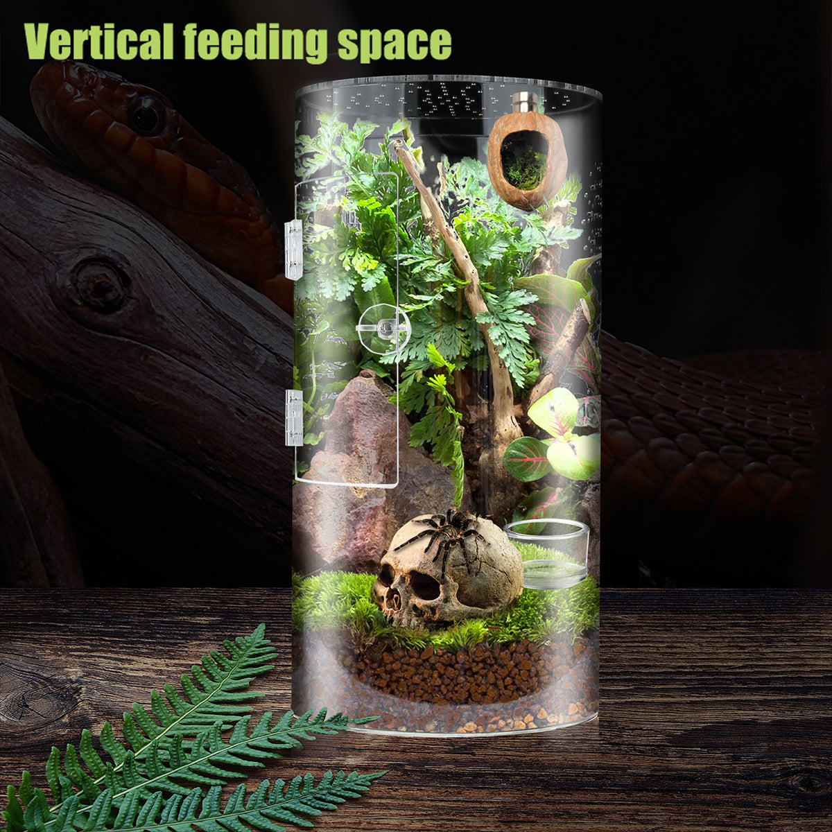 Front Opening Terrarium Jumping Spider Enclosure,12"*6"*6"Tall Arboreal Tarantula Enclosure Terrarium with Cross Ventilation,Waterproof Acrylic Reptile Enclosure