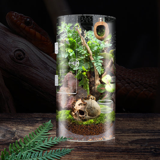 Lizards, snakes, and a warm little home for guarding the palace Acrylic