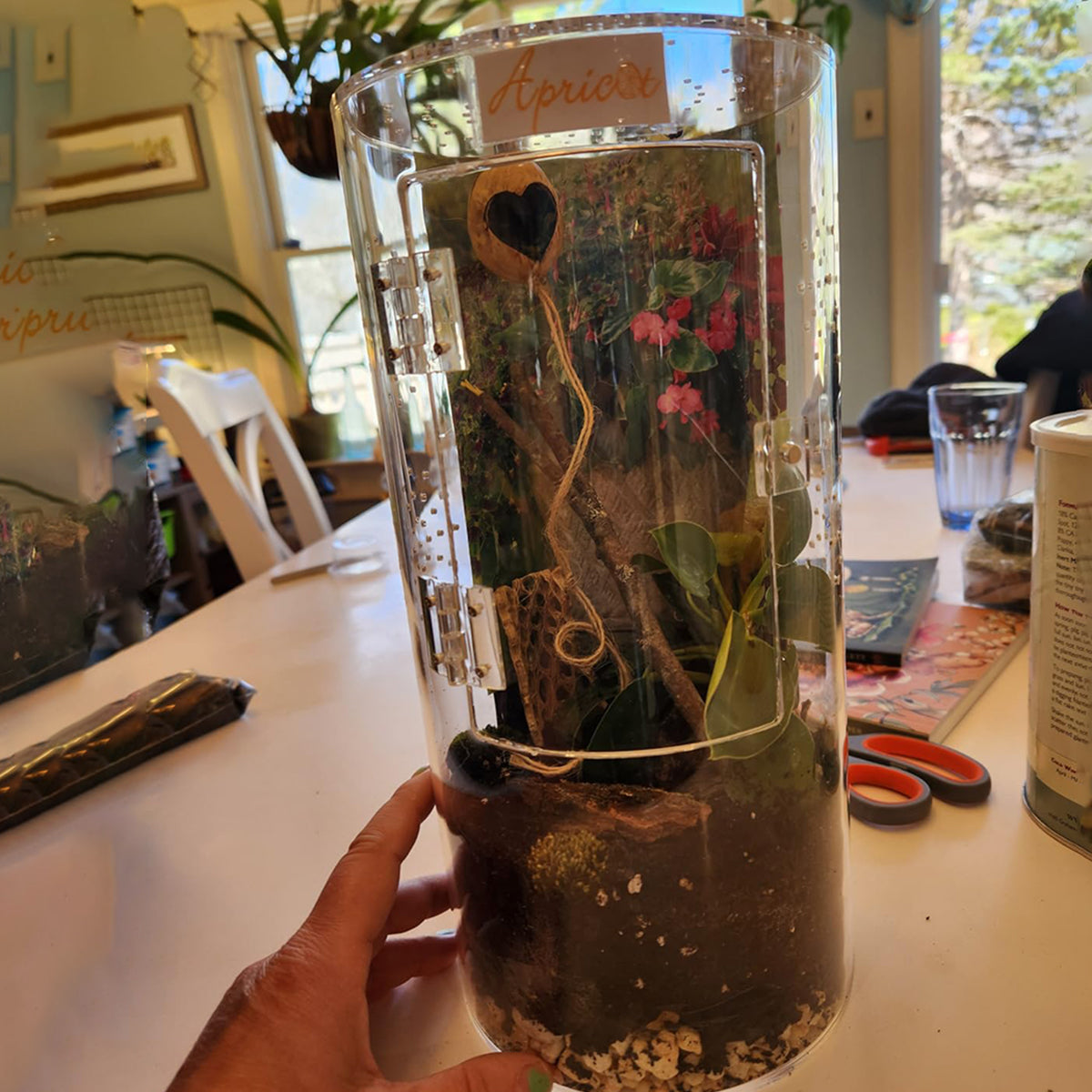 Front Opening Terrarium Jumping Spider Enclosure,12"*6"*6"Tall Arboreal Tarantula Enclosure Terrarium with Cross Ventilation,Waterproof Acrylic Reptile Enclosure